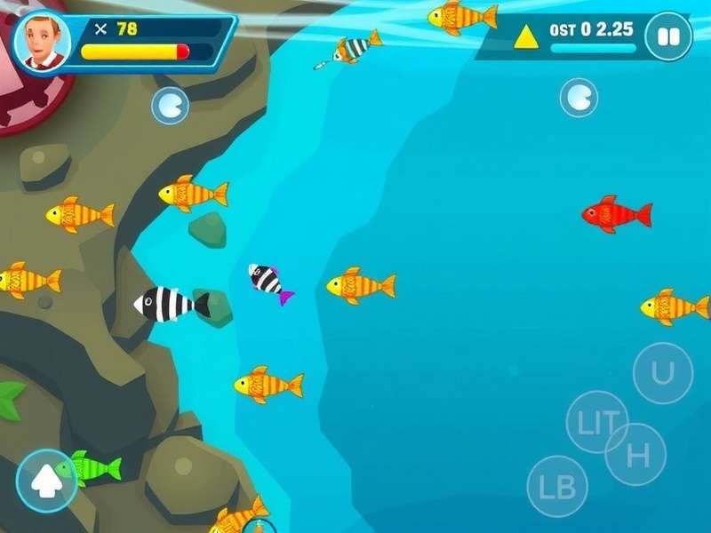 Super Catch Game Modes